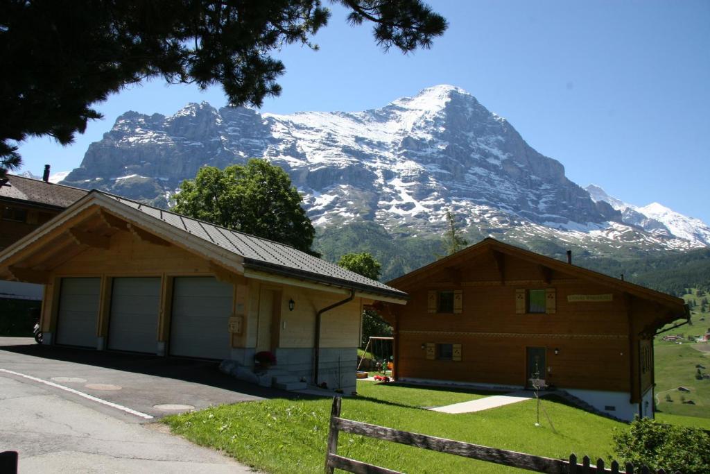 Chalet Baergbaechli جريندلوالد المظهر الخارجي الصورة