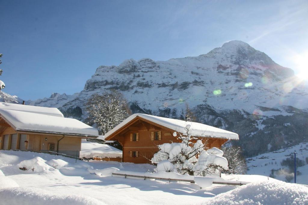 Chalet Baergbaechli جريندلوالد المظهر الخارجي الصورة